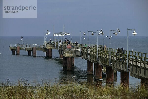 Seebrücke  Göhren  Rügen  Mecklenburg-Vorpommern  Deutschland  Europa