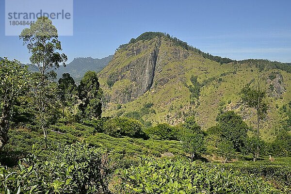 Ella Gap  Ella  Sri Lanka  Asien