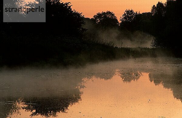 Teich in der Morgendämmerung  Nordrhe-Westfalen (Europa) (Dunst) (Nebel) (Stimmung) (Landschaften) (Querformat) (horizontal) (Spiegelbild) (Spiegelbil)  Nordrhein-Westfalen  Deutschland  Europa