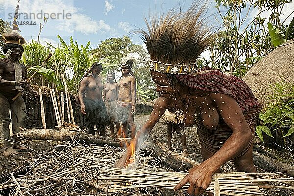 Dani-Stamm bereitet Erdofen vor  Baliem-Tal  West-Papua  Dani  Indonesien  Asien