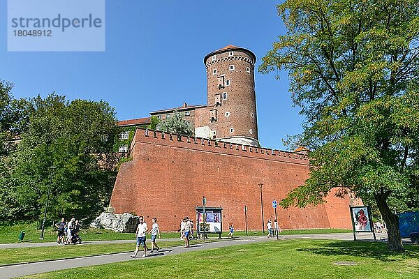 Wawelberg  Krakau  Polen  Europa