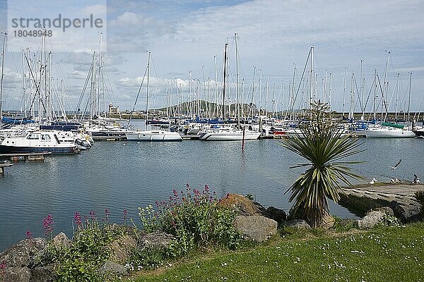 Hafen  Howth  Grafschaft Fingal  Irland  Europa