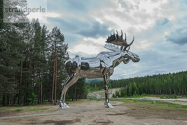 Silberner Elch  Osterdalen  Norwegen  Europa