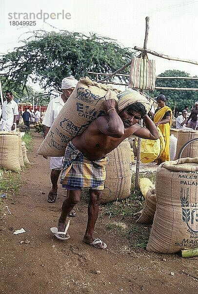 Tagelöhner  der eine schwere Tasche auf dem Rücken trägt  Rückgrat in Perundurai bei Erode  Tamil Nadu  Indien  Asien