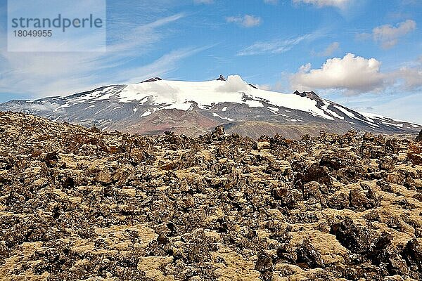 Gletscher Snæfellsjökull  Island  Europa