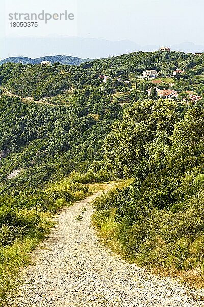 Straße bei Afionas  Korfu  Griechenland  Europa