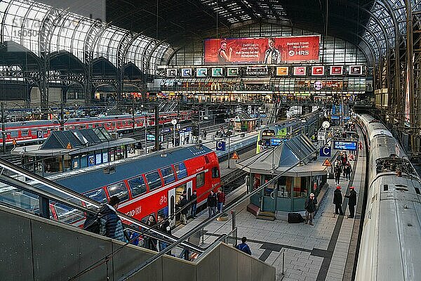 Züge  Passagiere  Bahnsteig  Bahnhofshalle  Hauptbahnhof  Hamburg  Deutschland  Europa