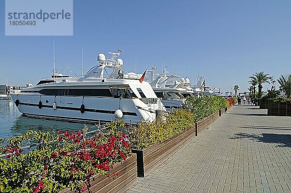 Promenade  Boote  Hafen  Hafen  Valencia  Valencianische Gemeinschaft  Spanien  Europa