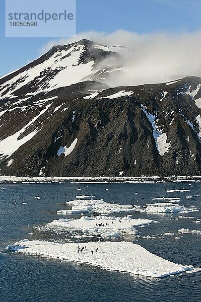 Eisschollen  Antarktischer Sund  Antarktische Halbinsel