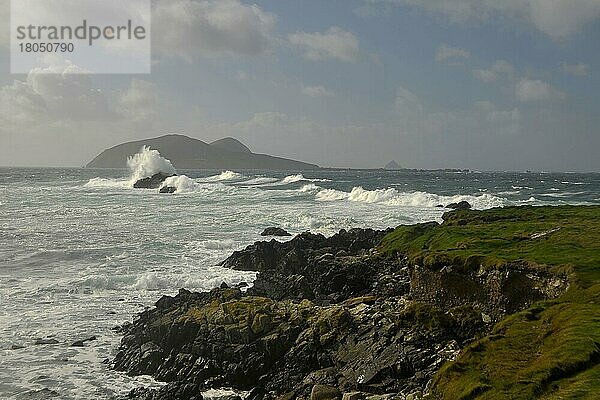 Blick auf Great Blasket Island  Dunquin  Dingle Halbinsel  Grafschaft Kerry  Irland  Europa