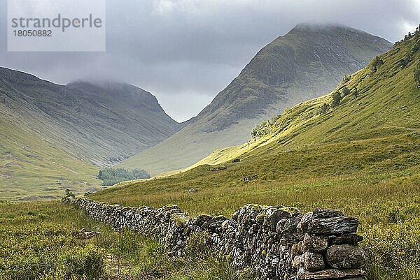 Alte Trockenmauer im Moor  die zum Berg Bidean nam Bian und den berühmten Three Sisters of Glen Coe führt  Argyll  Schottische Highlands  Schottland  Großbritannien  Europa