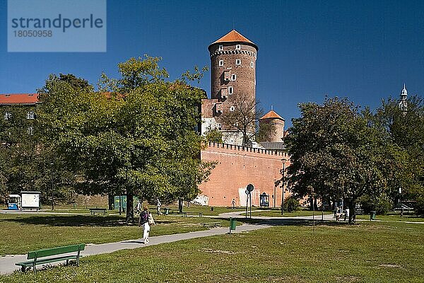 Wawel  Krakau  Kleinpolen  Polen  Europa