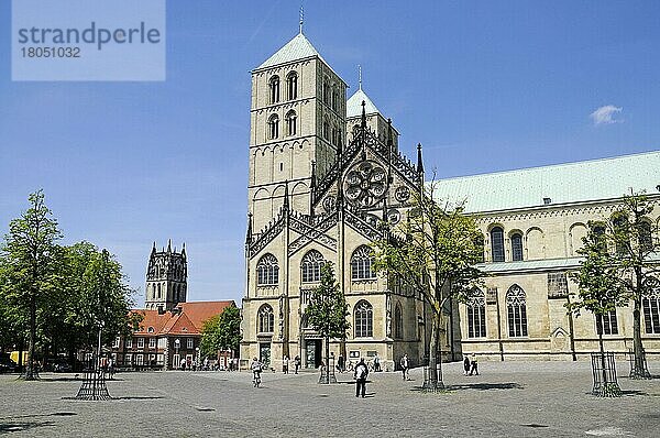 St. Paulus Dom  Kathedrale  Kirche  Domplatz  Münster  Münsterland  Nordrhein-Westfalen  Deutschland  Europa