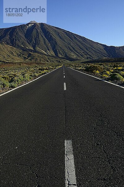 Straße und Vulkan Pico del Teide  Teide Nationalpark  Kanarische Inseln  Teneriffa  Spanien  Europa