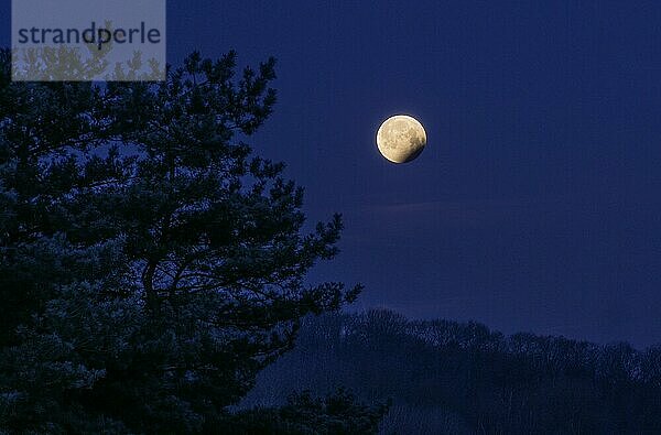 Mondfinsternis  21.01.2019  7.43 Uhr  Staufenberg  Naturpark Münden  Münden  Niedersachsen  Deutschland  Europa