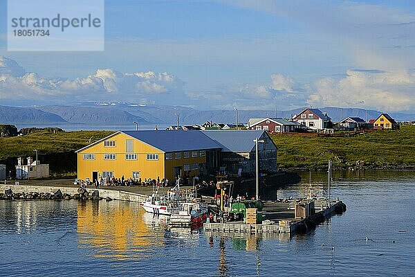 Hafen  Insel Flatey  Breidafjördur  Island  Europa