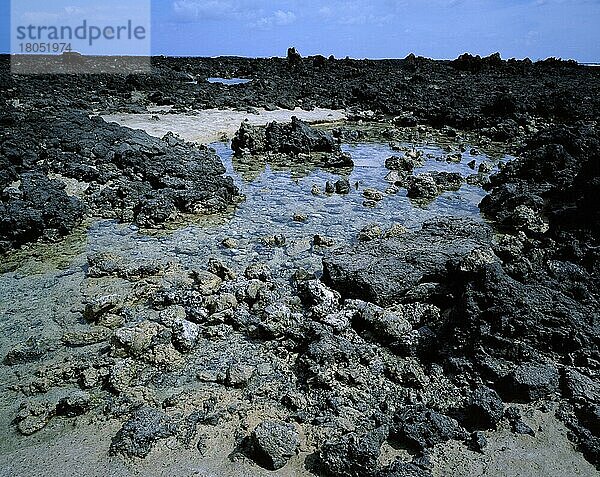 Coast at Orzola  Lanzarote  Canary Islands  Spain  Küste bei Orzola  Kanarische Inseln (Europa) (Querformat) (horizontal)  Spanien  Europa