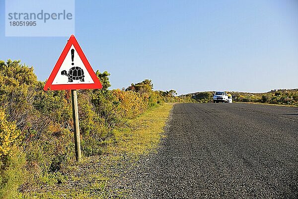 Verkehrsschild  Achtung Schildkröten  Kaphalbinsel  Westkap  Südafrika
