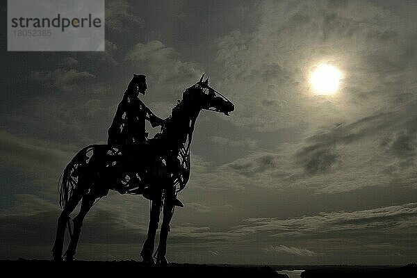 Skulptur The Gaelic Chieftain  Lough Key  Boyle  Grafschaft Roscommon  Der Gallische Häuptling  Der gallische Häuptling  Irland  Europa