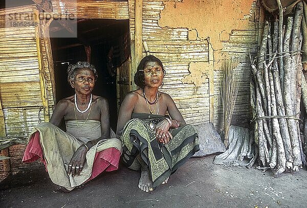 Mudunga-Stammesfrauen sitzen vor ihrer Hütte in einem Stammesdorf in der Nähe des Silent Valley  Kerala  Indien  Asien