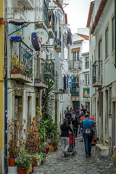 Altstadtgasse  Alfama  Lissabon  Portugal  Europa