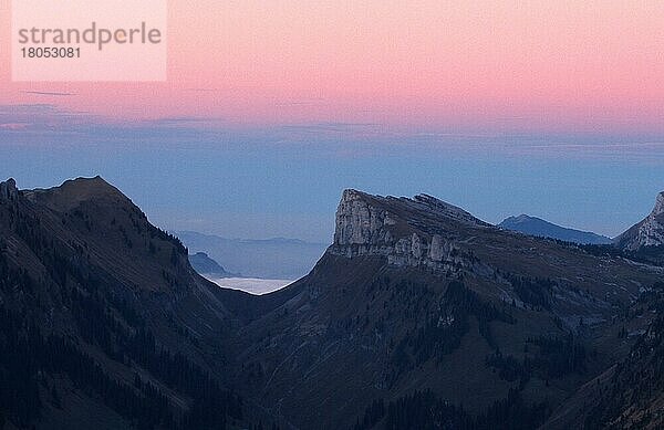 Alpengipfel in der Abenddämmerung  im Abendlicht  Berner Oberland () (Dämmerung) (Europa) (Landschaften) (landscapes) (Gebirge) (Berge) (mountains) (Querformat) (horizontal)  Blick vom Niederhorn  Schweiz  Europa