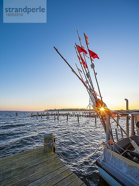 Fischkutter im Hafen am Salzhaff bei Sonnenuntergang  Ostseebad Rerik  Mecklenburg-Vorpommern  Deutschland  Europa