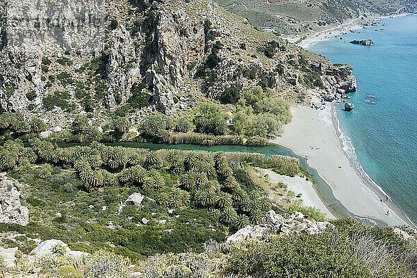 Palmenstrand von Preveli  Bach Megalopotamos oder Kourtaliotis  Gemeinde Agios Vasilios  Kreta  Griechenland  Europa