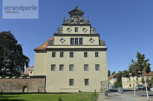 Lutherhaus  Augusteum  Collegienstraße  Lutherstadt Wittenberg  Sachsen-Anhalt  Deutschland  Europa