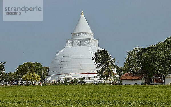 Stupa  Tissamaharama  Sri Lanka  Asien