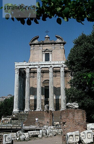 Foro Romano  Rome  Italy  Forum Romanum  Rom  Italien  Europa  vertical  Europa