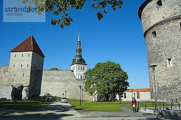 Stadtmauer  Baltikum  Europa  Toompea-Hügel  Tallinn  Estland  Europa