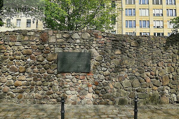 Reste der mittelalterlichen Berliner Stadtmauer  Waisenstrasse  Littenstraße  Mitte  Berlin  Deutschland  Europa