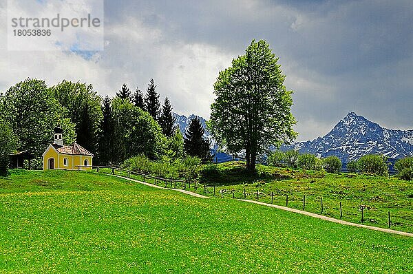 Kapelle Maria Rast  Buckelwiesen  bei Krün  im Werdenfelser Land  im Hintergrund das Karwendelgebirge  Bayern  Oberbayern  Deutschland  Europa