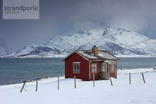 Rote isolierte Holzhütte entlang der Küste im Schnee im Winter  Lofoten  Nordland  Norwegen  Skandinavien  Europa