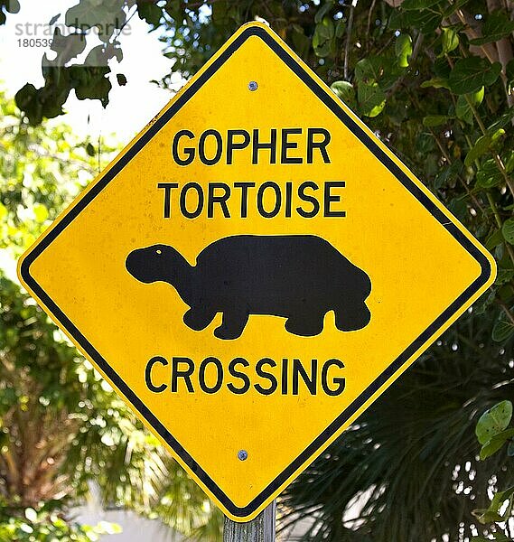 Warnschild vor Schildkröten-Ueberquerung  Florida/ warning sign to Tortoise crossing  Florida  Florida  USA  Nordamerika