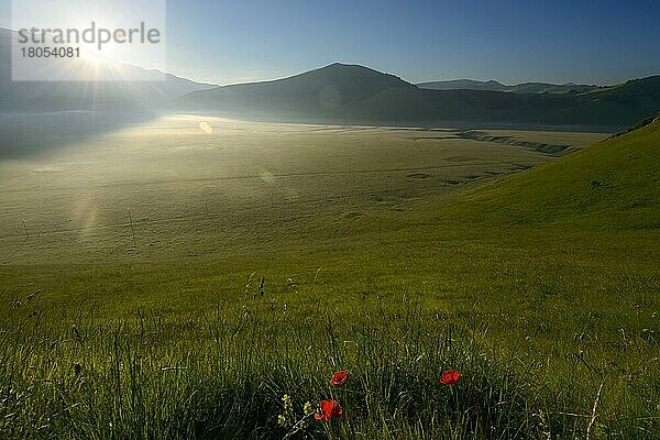 Castelluccio  Nationalpark der Monti Sibillini  Piano Grande Europa  Umbrien  Italien  Europa