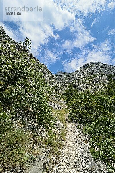 Biokovo Nationalpark  Dalmatien  Kroatien  Europa