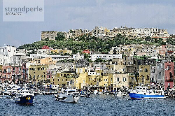 Porto di Marina Grande  Hafen  Stadtviertel Terra Murata  Insel Procida  Golf von Neapel  Kampanien  Süditalien  Italien  Europa