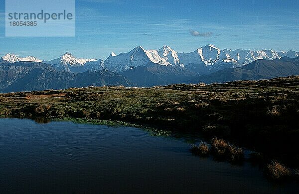 Teich auf dem Niederhorn  Berner Oberland (Europa) (Herbst) (autumn) (fall) (Landschaften) (landscapes) (Querformat) (horizontal)  Alpen  Schweiz  Europa