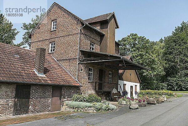 Wassermühle  Ölmühle  Bergkirchen  Minden-Lübbecke  Ostwestfalen-Lippe  Nordrhein-Westfalen  Deutschland  Europa