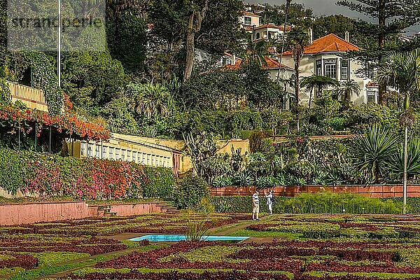 Blumenbeete  Herrenhaus  Botanischer Garten  Funchal  Madeira  Portugal  Europa