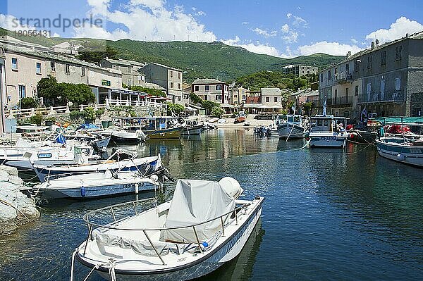 Hafen  Centuri Port  Cap Corse  Korsika  Frankreich  Westküste  Europa