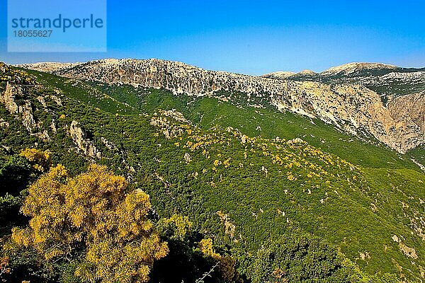 Parco Nazionale del golfo di Orosei  Sardinien  Italien  Europa