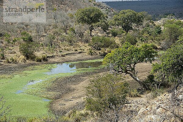 Orpen-Damm  Kruger-Nationalpark  Südafrika