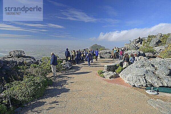 Touristen auf dem Plateau des Tafelberg  Kapstadt  West Kap  Westkap  Südafrika