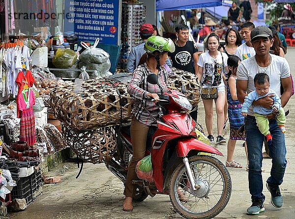 Hühner  Motorrad  Transport  Sa Pa  Vietnam  Asien