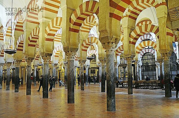 Gebetshalle  Mezquita  Moschee  Kathedrale  Cordoba  Provinz Cordoba  Andalusien  Spanien  Europa