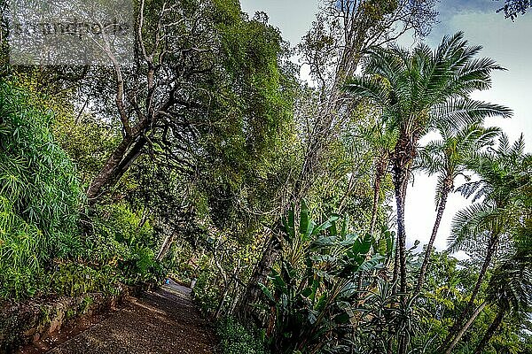 Arboretum  Botanischer Garten  Funchal  Madeira  Portugal  Europa