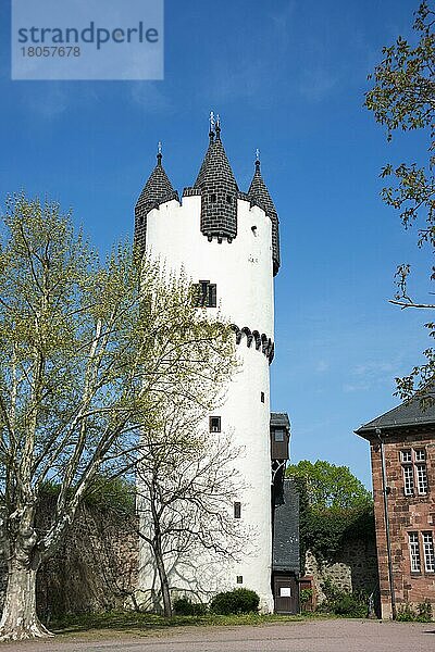 Bergfried  Schloss Steinheim  Heimatmuseum  Steinheim am Main  Hanau  Hessen  Deutschland  Europa